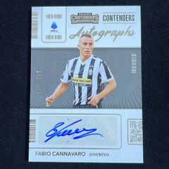 Fabio Cannavaro ファビオ・カンナヴァーロ Panini Chronicles
