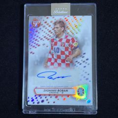Fabio Cannavaro ファビオ・カンナヴァーロ Panini Chronicles