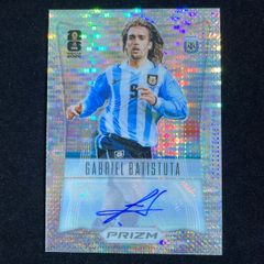 Fabio Cannavaro ファビオ・カンナヴァーロ Panini Chronicles