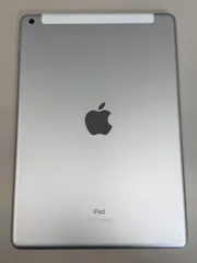 極美品 電池100% SIMフリー iPad 第9世代 64GB シルバー