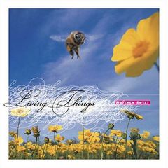 アインズヴァッハの墓 LOST IN THE FOG CD)アインズヴァッハの墓／Lost in the Fog - メルカリ