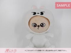Stray Kids SEUNGMIN SKZ TOY WORLD PuppyM パピーム 抱きぬいぐるみ