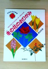 冬の花のおりがみ (おりがみランド)