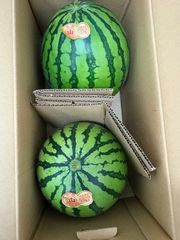 大玉スイカ2玉入り！北海道東北各県沖縄発送不可 - メルカリ