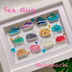 ウミウシ図鑑❣️シーグラスアート　 Sea slug  12種　海の生き物　海アート　ウォールアート　アクアリウム　水族館　癒し　ギフト　お祝いプレゼント　猫八アート