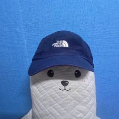 THE NORTH FACE ザノースフェイス ネイビー 帽子(正規品)