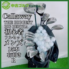 ゴルフクラブ メンズ セット キャディバッグ付 キャロウェイ THE BIGGEST BIG BERTHA ツアーステージ ダイワ パター 右 15本 初心者 R