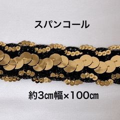 スパンコール  約3㎝幅×100㎝ ハンドメイド資材