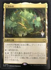 ヴァンガード プロモ ノーマル 龍樹の落胤 アンデ・ケムダー - メルカリ