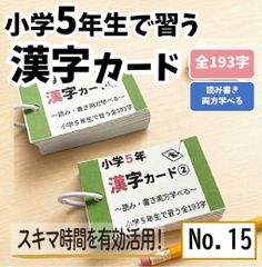 小学5年生　漢字カード　小5で習う漢字全193字　学習教材　漢検6級　国語　暗記カード　学習教材　苦手克服　先取り学習　予習復習　漢字検定●【015】
