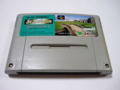 [管meb]【送料無料】ゲームソフト SFC セントアンドリュース (箱説なし) スーパーファミコン 任天堂 エポック社