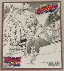 集英社 ジャンプフェア'23 inアニメイト アニメイト 家庭教師ヒットマンREBORN ミニ色紙