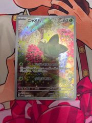 ポケモンカード フシギダネ フシギソウ ヒトカゲ リザード ゼニガメ
