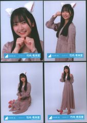 日向坂46 Happy Magical Tour 2024 in TOKYO DOME 竹内希来里 ねこみみコーデ コンプ