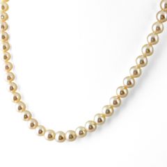 タサキ TASAKI パール SILVER シルバー 真珠 ネックレス SV パール レディース 【中古】