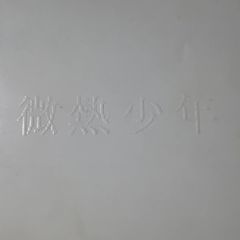 サウンドトラック「微熱少年」MOVIE SONGS　参加アーティスト・Rebecca・鈴木茂・Claxon・The 東南西北・杉真理・細野晴臣・大滝詠一・松田聖子・関口誠人・南佳孝
