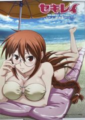 PS2ソフト セキレイ ～未来からのおくりもの～ 予約特典 B3お風呂ポスター 松