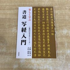●01)【1点限り!】楽しく学ぶ 書道写経入門/最高のお手本シリーズ/古野辰哉/金園社/2014年発行/書道/A