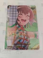 パラレル】SR☆ セブルス・スネイプ ハリポタTCG / ハリー・ポッター