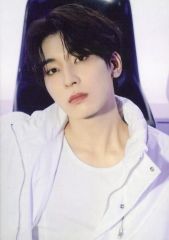 【中古】コレクションカード(男性) 019：SEVENTEEN/ウォヌ(WONWOO)/「SEVENTEEN TOUR ’FOLLOW’ AGAIN TO JAPAN」フォトカード