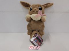 【一番くじ】 ポケモン イーブイ B賞 だっこしてイーブイぬいぐるみ