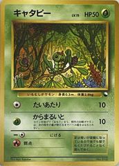 まるのみされたピカチュウ [オコヤの森のセレビィ＆ザルード 特別前売