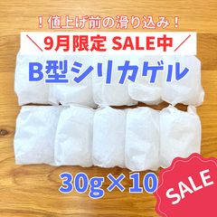 【期間限定価格】B型シリカゲル 30g×10個 調湿剤 乾燥剤 サシェ 楽器ケース カメラ 着物