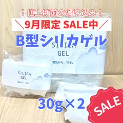 【期間限定価格】B型シリカゲル 30g×2個 調湿剤 乾燥剤 サシェ 楽器ケース カメラ 着物