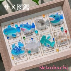 [猫八水族館]シーグラスアート❣️ サメ図鑑　shark 海の生き物図鑑　お魚図鑑　fish 海アート　ウォールアート　アクアリウム　水族館　ギフト　ヒーリングアート　海インテリア　お祝い　お誕生日プレゼント
