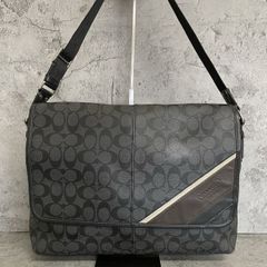 極美品 A4収納可 COACH コーチ トートバッグ 大容量 シグネチャー