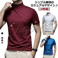 【2枚組】 【送料無料】 ハイネック 半袖 メンズ tシャツ メンズtシャツ 半袖 モックネック ゴルフ ストレッチ 無地 モックネックシャツ ハイネックtシャツ トップス カットソー スポーツウェア