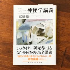 「神秘学講義」 高橋巖 著 KADOKAWA 2023 ☆ルドルフ・シュタイナー/人智学/ユング心理学/ブラヴァツキー/ゲーテ思想/秘儀参入/霊魂論/超感覚的世界/ヨーロッパ精神史/グノーシス j0VANo aaB86nm6