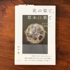 「花の果て、草木の果て 命をつなぐ植物たち」 田中徹 著 淡交社 2017年2月1日 ☆写真集/種子散布/果実観察/植物生態/路地裏散策 kTBu7N aaB94nm5