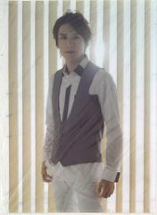 タッキー&翼 15年 滝沢歌舞伎2015 滝沢秀明 クリアファイル