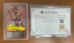 ARS10 鑑定書付き ポートガス・Ｄ・エース R パラレル PRB02-018 ワンピースカード ONEPIECE