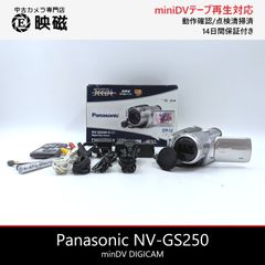Panasonic パナソニック NV-GS250 miniDVビデオカメラ 整備済み  miniDVテープ再生 ダビング DVD化 デジタル化用