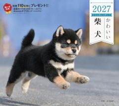 【新品】カレンダー かわいい柴犬 2027年度カレンダー