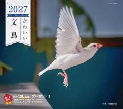 【新品】カレンダー かわいい文鳥 2027年度カレンダー