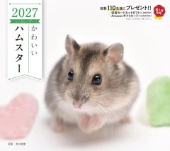 【新品】カレンダー かわいいハムスター 2027年度カレンダー