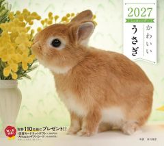 【新品】カレンダー かわいいうさぎ 2027年度カレンダー