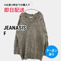 JEANASIS ジーナシス ニット/セーター F グレー ウール・ニット ニット 無地 ミドル丈 長袖 Vネック レディース
