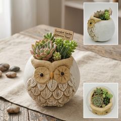 【 送料無料 】　プランター　鉢底穴あり　植木鉢　ガーデニング　ラフォーレフクロウ　アンティーク調　観葉植物　多肉植物　ナチュラルガーデン　ガーデニング　ガーデン雑貨　ポット　カルナック　フラワーポット　フクロウ