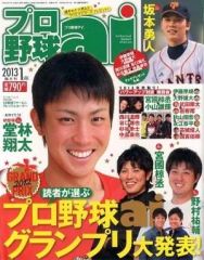 【中古】スポーツ雑誌 プロ野球ai 2013年1月号