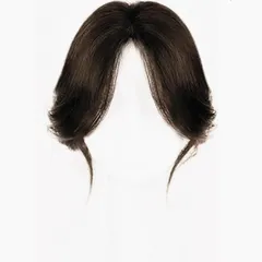 白髪隠し 増毛 通勤 つむじカバー ヘアピース 日常用 つけ毛 部分ウィッグ センター分け 女性前髪ウィッグ (ブラックブラウン) 夏用軽量