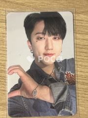 straykids チャンビン スキズ MAXIDENT