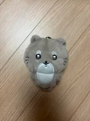 ナガノマーケット WINNER(ウィナー)アライグマ ぬいぐるみ キーホルダー 自分ツッコミくま