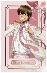 【中古】キャラカード 沢村栄純(等身) 「TVアニメ ダイヤのA actII -Second Season トレーディングホログラムカード バルーンスーツver.」