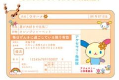 【中古】キーホルダー ウサハナ 「サンリオキャラクターズ シークレット免許証キーホルダー」