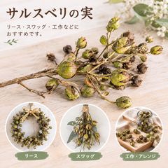 サルスベリの実 ドライフラワー素材 リース スワッグ 工作 自然素材