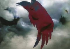 【中古】パンフレット ≪パンフレット(舞台)≫ パンフ)COLOR CROW 黒韻之翼